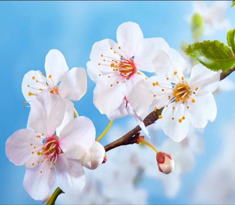 Программа мероприятий, посвященных Дню Весны и Труда 2026