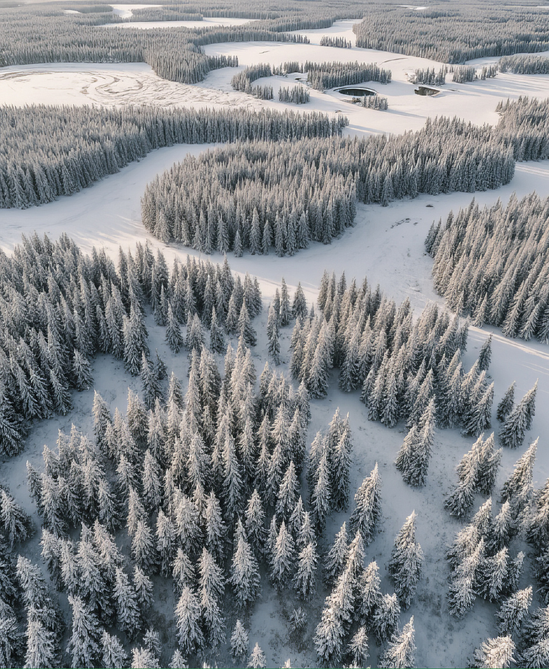 Благословенный край - Югра!